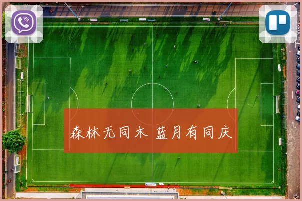 森林无同木 蓝月有同庆