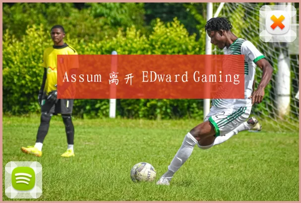Assum 离开 EDward Gaming