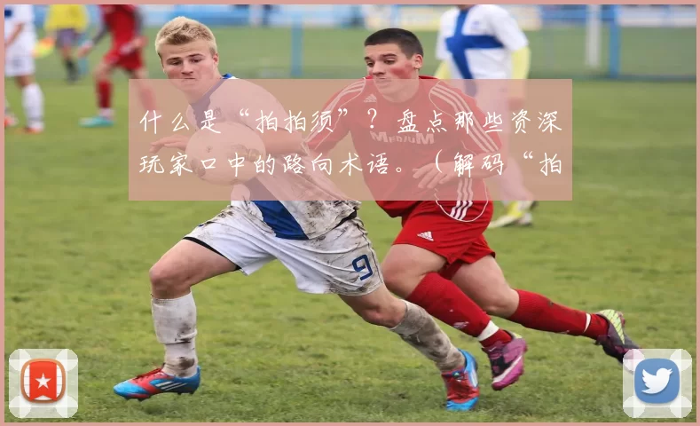 什么是“拍拍须”？盘点那些资深玩家口中的路向术语。（解码“拍拍须”：资深玩家常用的路向术语盘点）