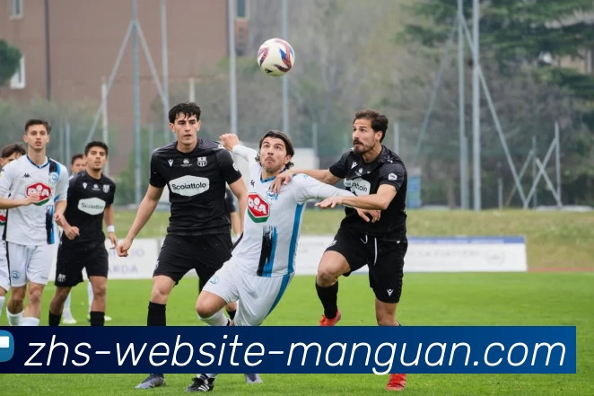 满贯体育平台生态图